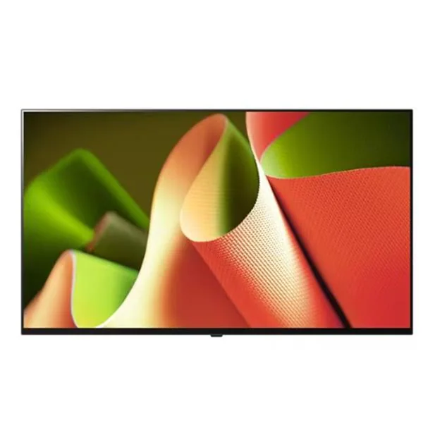 65인치 TV 올레드OLED AI 벽걸이형