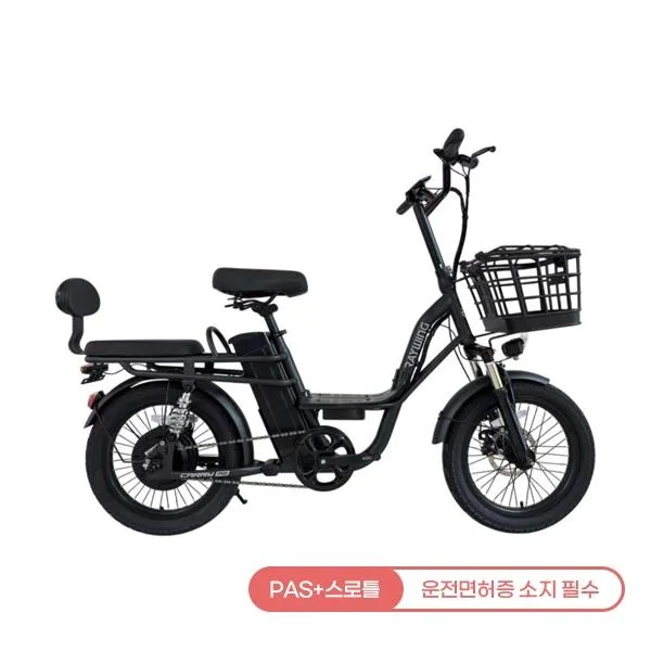 캐리 미 전기자전거 CARRYME_18.2A (블랙)