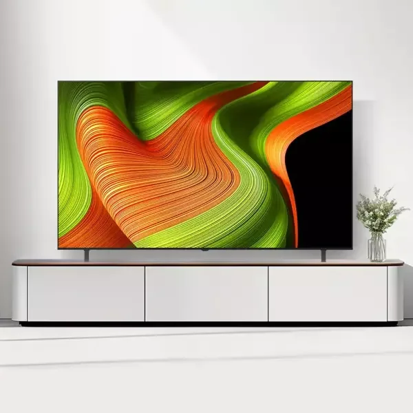 LG 올레드 TV 55인치
