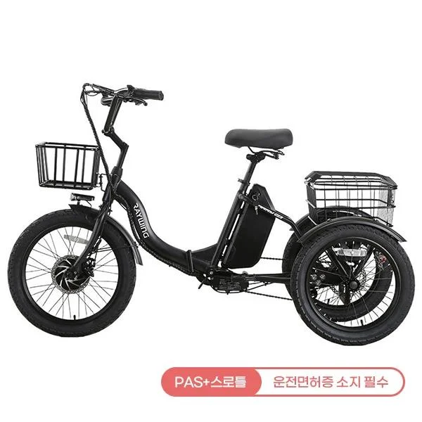 캐리 이지 전기자전거 CARRYEZ_15A (블랙)