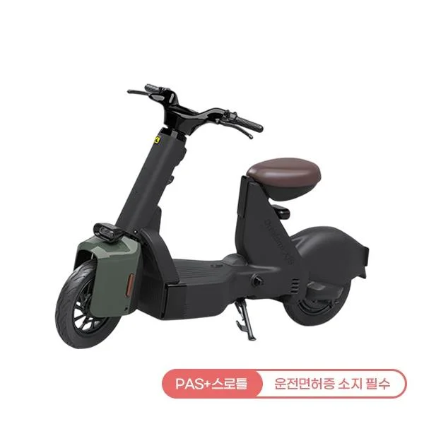 타입1 전동스쿠터 TYPE 1_24A (그린)