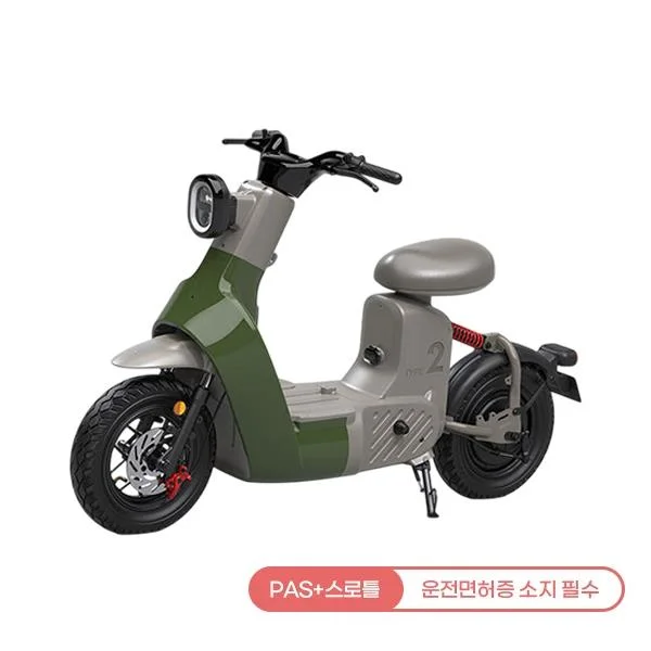 타입2 전동스쿠터 TYPE 2_24A (그린)